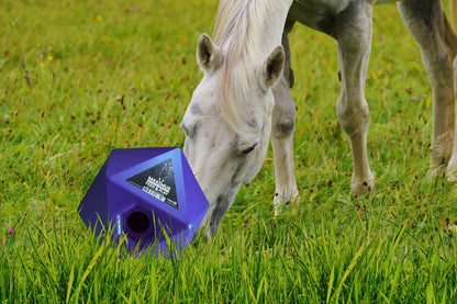 Maximus Feed & Play Blauw