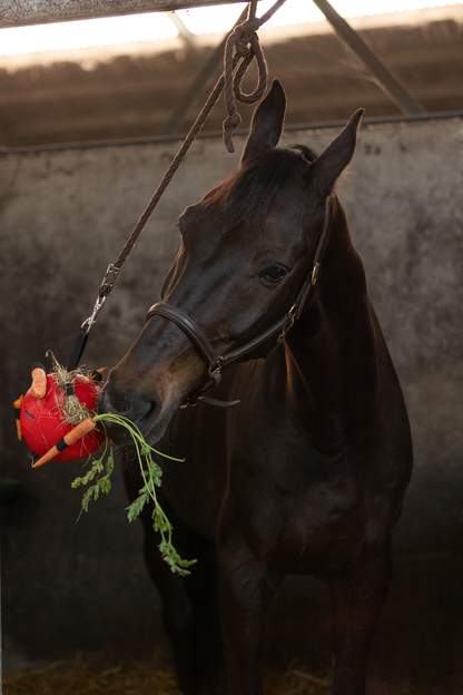 Excellent Horse Fun Play Ball Roze