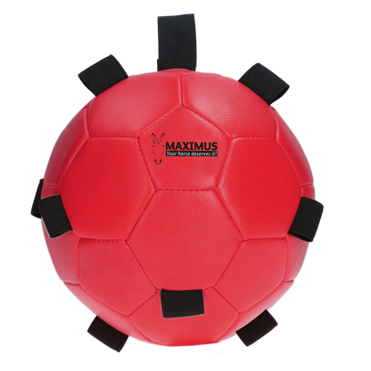 Excellent Horse Fun Play Ball Rood
