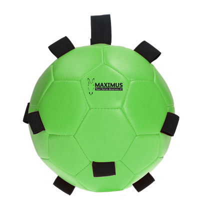 Excellent Horse Fun Play Ball Groen