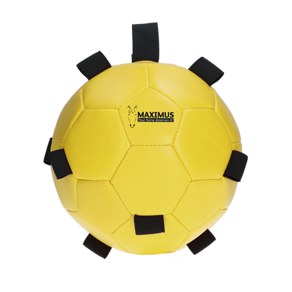 Excellent Horse Fun Play Ball Geel