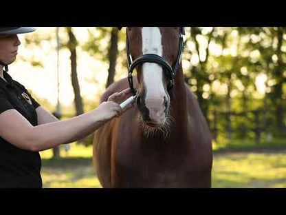Excellent Horse Vitasporal 12 ml