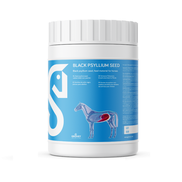 Psyllium