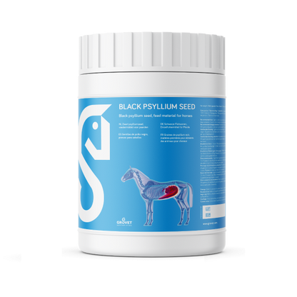 Psyllium