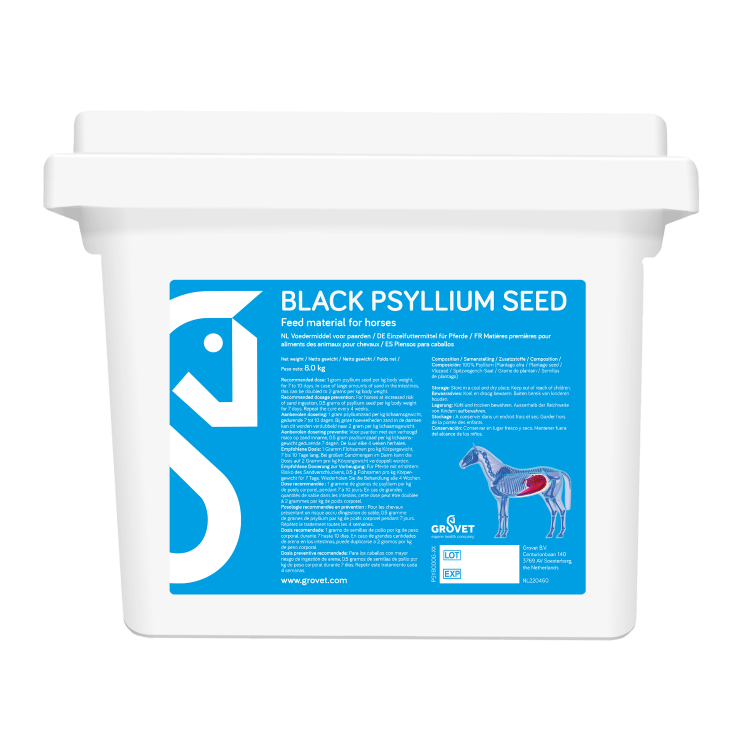 Psyllium