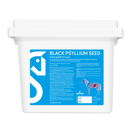 Psyllium
