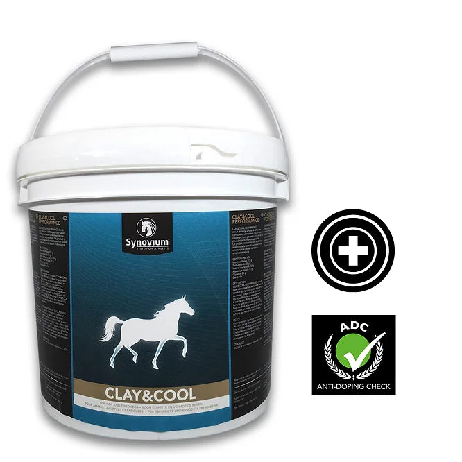 Synovium Clay & Cool