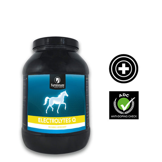 Synovium Electrolytes Q