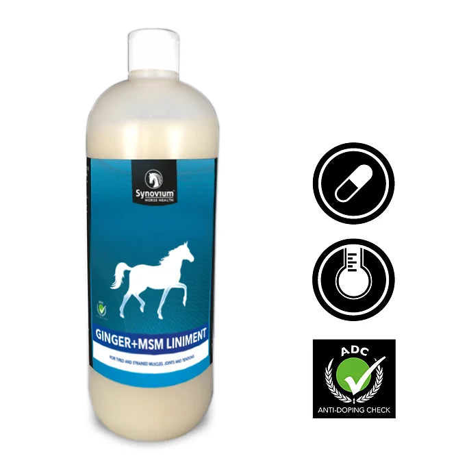 Synovium Ginger MSM Liniment