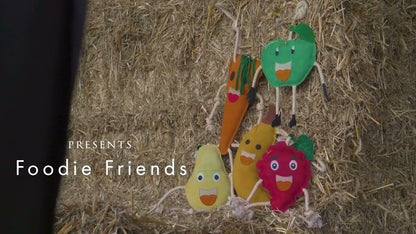 Excellent Horse Foodie Friends Watermelon
