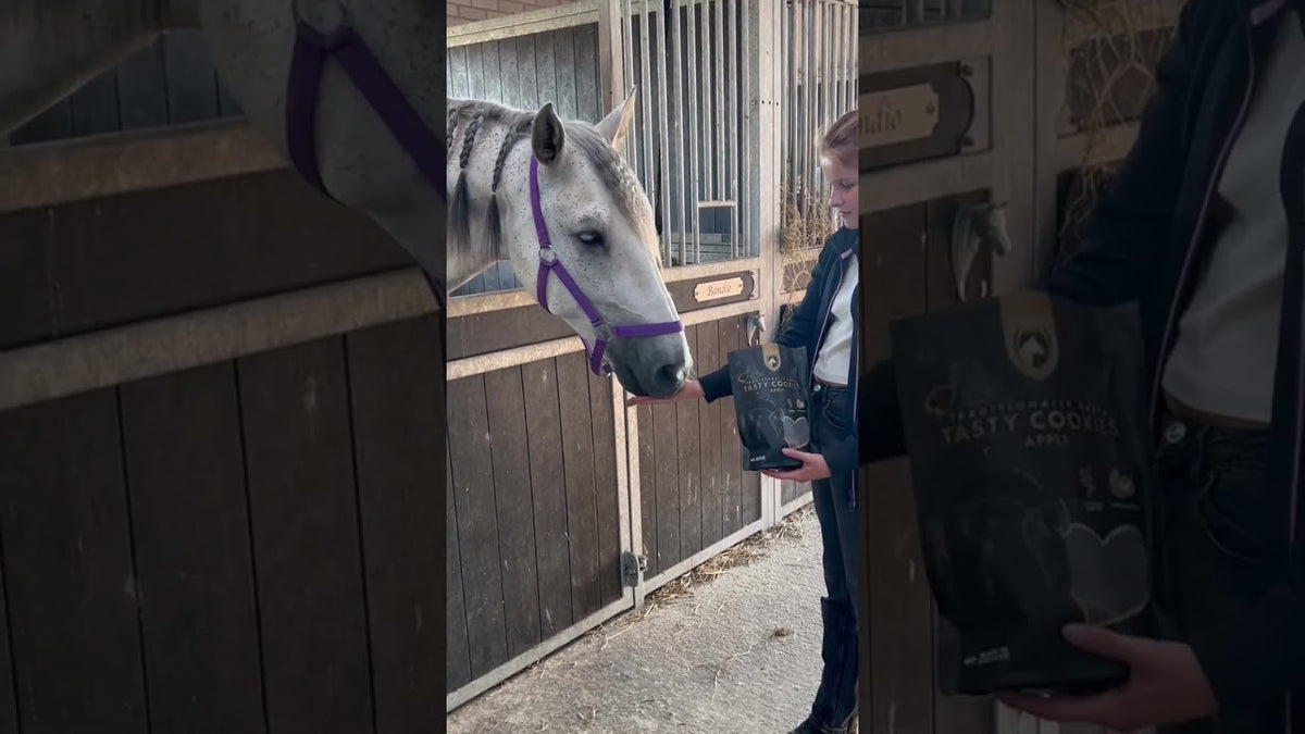 Excellent Horse Ambachtelijke Paardenkoekjes Appel