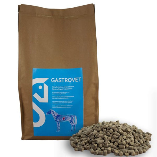 Gastrovet 4500 g