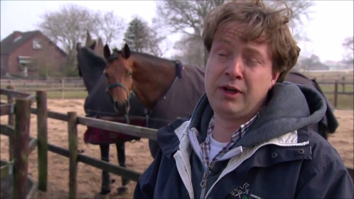 Jolly Ball Roze (bubblegum)